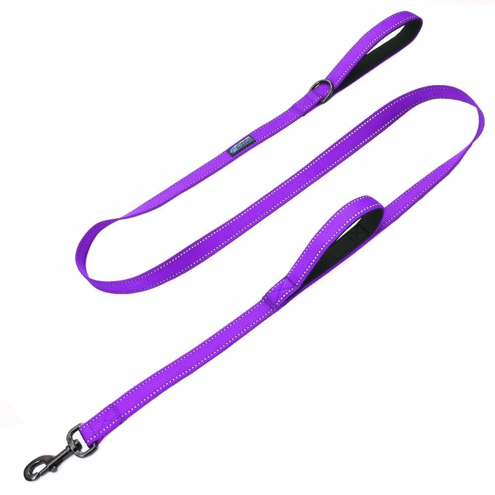 Max and Neo Double Handle Leash Bark n Roll